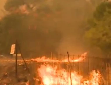 Πυρκαγιά σε Ζεμενό και Θροφάρι Κορινθίας- Πύρινο μέτωπο και στην Αλεξανδρούπολη